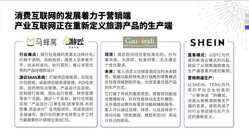 产业互联网重塑旅行服务业 中国旅游研究院发布发展报告